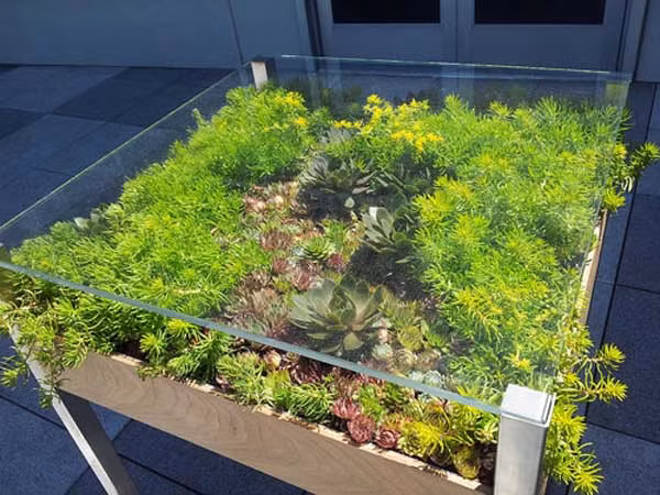  Chiếc bàn cỏ xanh tạo cảm hứng cho mọi người trò chuyện.