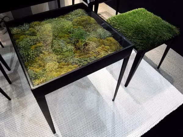 Đây là một bộ bàn ghế xanh thân thiện.