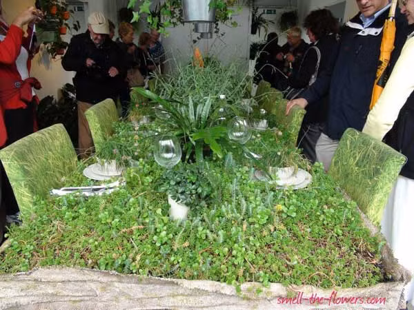 Để kết hợp hài hòa, bạn có thể chuẩn bị những chiếc ghế màu xanh phù hợp với màu sắc bàn ăn.