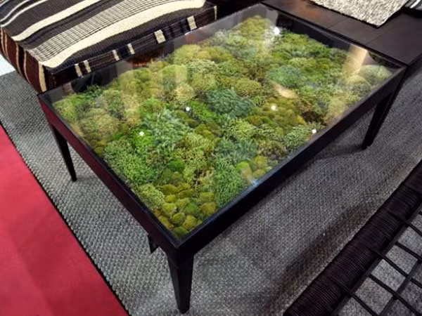 Chắc chắn các vị khách sẽ ấn tượng với chiếc bàn xanh cỏ này.