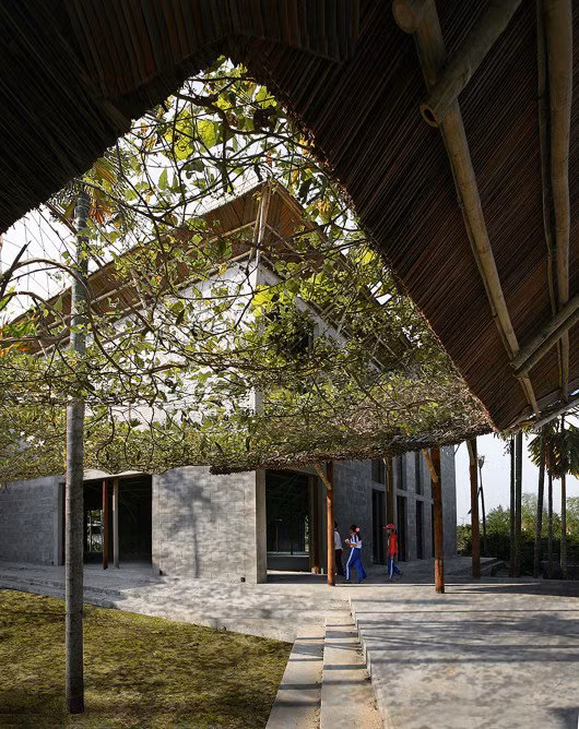 Giàn dây leo tạo bóng râm cho mọi người sinh hoạt bên dưới.