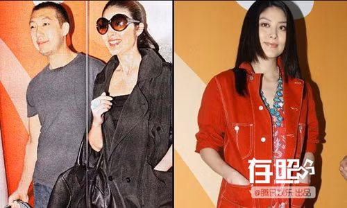 Việc sinh con của Trần Tuệ Lâm không dễ dàng, cô phải thụ tinh nhân tạo. Lần thụ tinh cặp song sinh đầu tiên không gặp may mắn nên lần mang bầu sau cô rất cẩn thận. Cô không chỉ tăng cường kiểm tra sức khỏe mà còn chi nhiều tiền bồi bổ. Chi phí sinh nở của cô vào khoảng 400.000 NDT (tương đương 1,4 tỷ đồng).