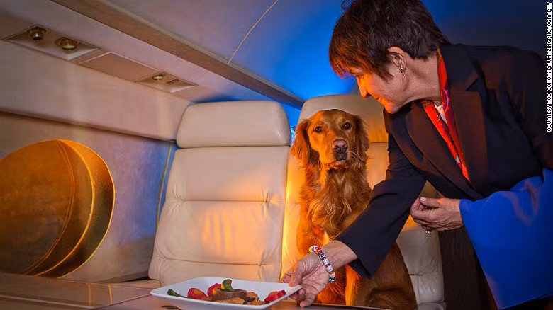 Đối với Dean, gia đình quan trọng như sự nghiệp. Đó là lý do tại sao anh hiếm khi đi đâu mà không có bốn chú chó cưng có tên là Hunter, Spencer, Bella Moon và chú chó vàng Riley June.