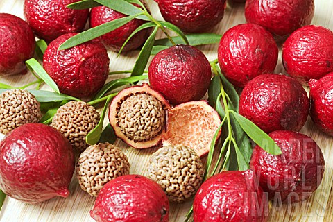 Hạt của quả Quandong khá giống với quả óc chó và có thể ăn sống hoặc rang muối.