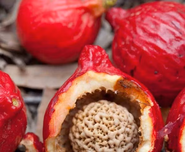 Hiện nay, loại quả đào đỏ này được đầu bếp nổi tiếng Ben Lethbrigde dùng làm món bánh úp ngược giống bánh táo úp ngược kiểu Pháp.