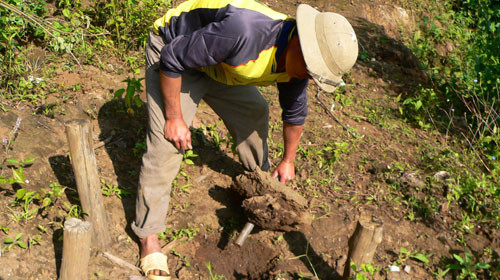 Mỏ đất hiếm Đông Pao có tổng diện tích hơn 11km2, trữ lượng trên 5 triệu tấn ôxít và thân quặng quý hiếm là F3 và F7.