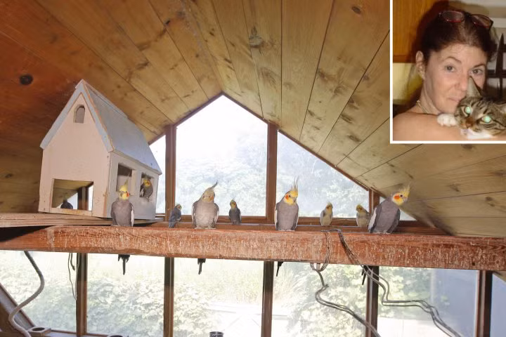 Nu trieu phu choi ngong, de lai biet thu 90 ty cho vet