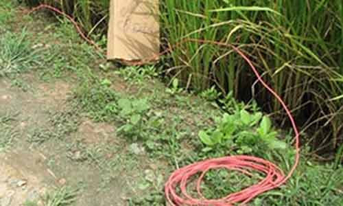 Phat hien bay dien chet nguoi, nem xac xuong song phi tang