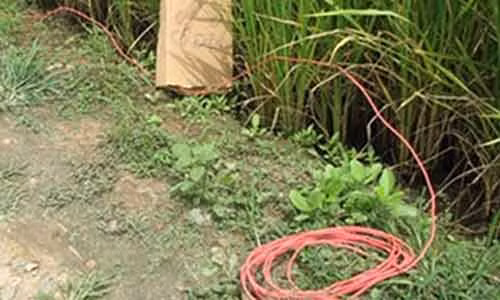 Phat hien bay dien chet nguoi, nem xac xuong song phi tang