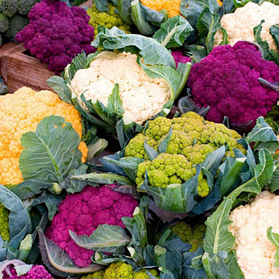 Các nhà khoa học khẳng định “súp lơ cầu vồng” vẫn giữ được màu sắc sau khi nấu chín.