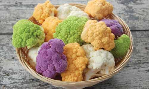 "Súp lơ cầu vồng” có ưu điểm là không chỉ giữ được hương vị giống hệt súp lơ trắng mà màu sắc của chúng còn khiến bàn ăn của các bà nội trợ thêm phần đẹp mắt, sinh động.