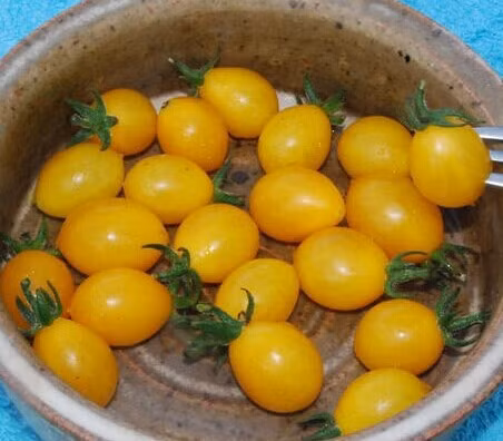 Món cà chua này có thể dùng để ăn sống trực tiếp hoặc làm các món salad.