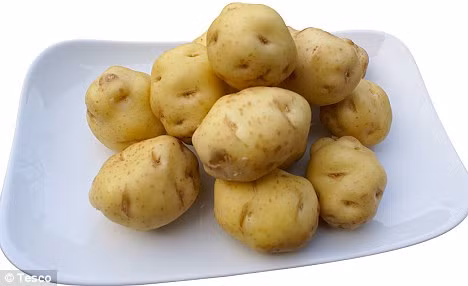 Tất cả vụ mùa luôn bận rộn vào tuần đầu, vì người nông dân phải thu hoạch và chở khoai tây đến các nhà hàng trong ngày.