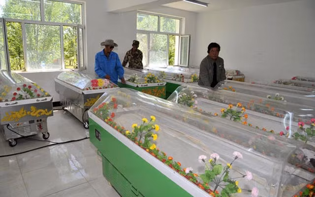 Kinh di nhung nguoi giu xac chet trong nha khong chiu chon