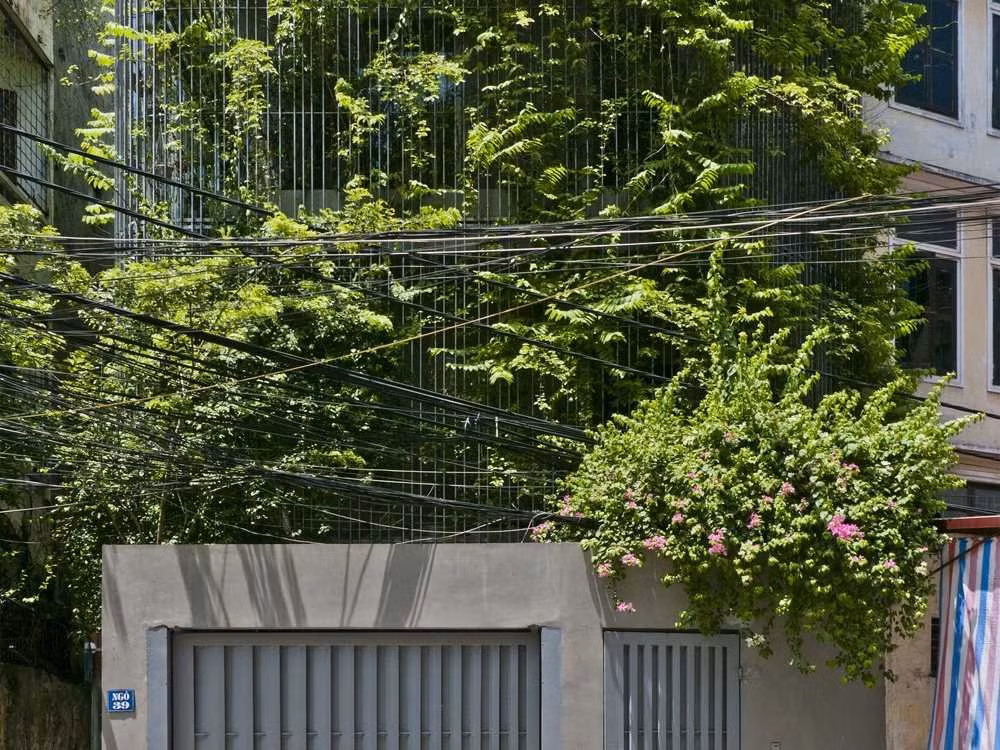 Hạng mục Cải tạo (Refurbishment): công trình “Green Renovation”.