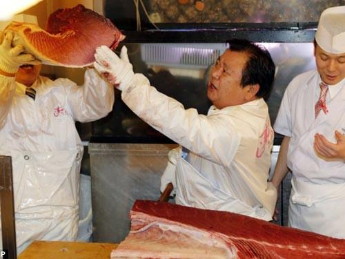 Hiện tại, người dân Nhật tiêu thụ khoảng 80% lượng cá ngừ đánh bắt được ở Đại Tây Dương và Thái Bình Dương.