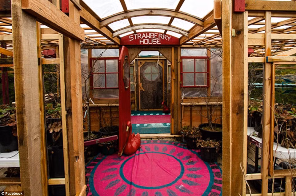 Hàng ngày, họ thu hoạch hoa quả và rau tại các nhà kính tự xây. Nguồn điện cung cấp cho cả nhà được lấy từ các tấm năng lượng mặt trời và máy phát điện quang hợp.