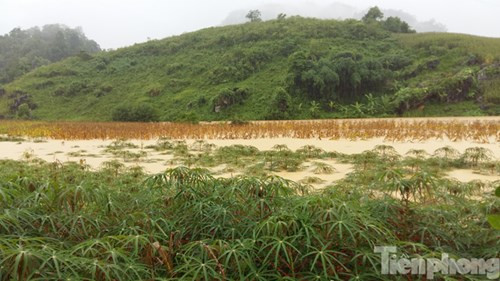 Theo ông Vũ Văn Đức, nhiều nhà cửa của người dân ở bản Đề Chia C bị thiệt hại vì mưa lũ. May mắn là không có thiệt hại về người.