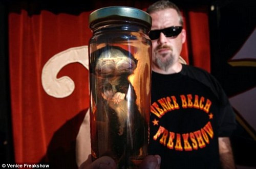 Ray cũng sở hữu một số mẫu vật được bảo tồn của những loài vật hai đầu gồm con mèo con với hai khuôn mặt.