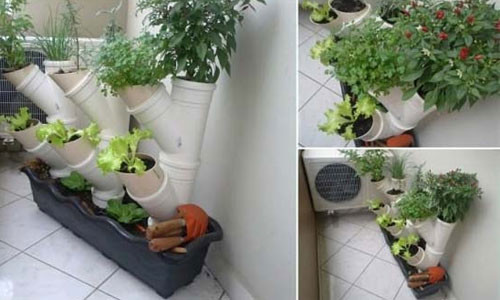 Với các ống nước không dùng tới, bạn có một "vườn cây" xanh tươi trong nhà.