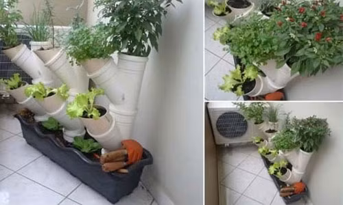 Với các ống nước không dùng tới, bạn có một "vườn cây" xanh tươi trong nhà.