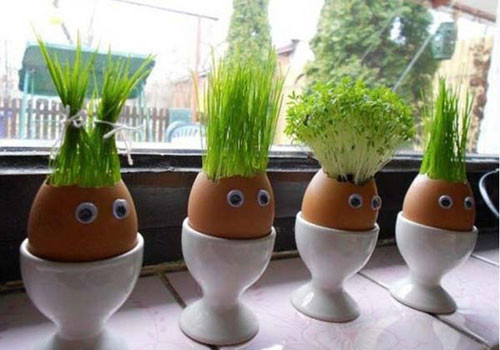 Nhung cach trong cay xanh trong nha cuc doc