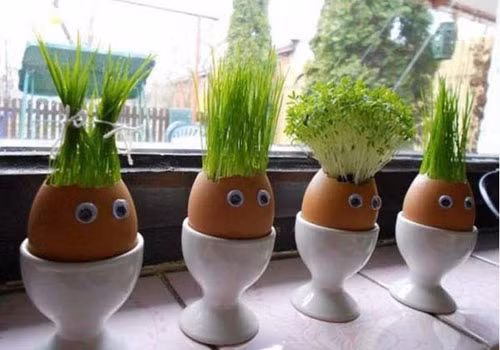 Nhung cach trong cay xanh trong nha cuc doc