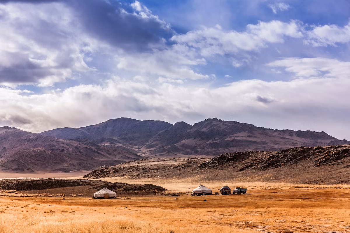 Người Kazakh bắt những con đại bàng nhỏ trong tổ ngoài tự nhiên. Quá trình thuần dưỡng có thể mất từ 3 đến 4 năm. Các thợ săn phải từ từ bắt quen và trở nên thân thiết với chú chim của họ.