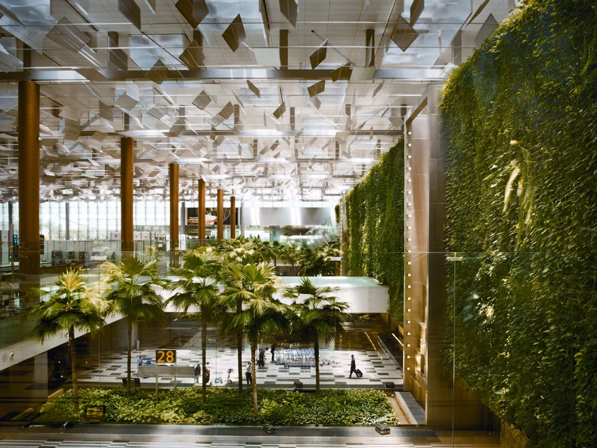 Trong hình là khu vườn thẳng đứng tươi tốt có tên "Green Wall" nằm trong nhà ga 3. Nó có hơn 20 loại cây trồng, dây leo và các loài hoa.
