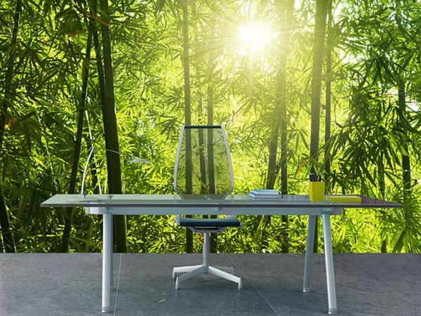 Bức tranh dán tường phong cảnh đẹp mắt tạo cảm giác như bạn mang cả thiên nhiên vào nhà.