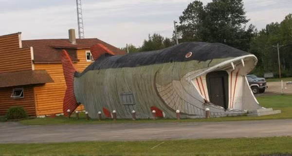 Tòa nhà mang hình dáng con cá mập.