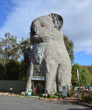 Tòa nhà Giant Koala ở Dadswells Bridge (Australia) có hình dáng một chú koala khổng lồ dễ thương.