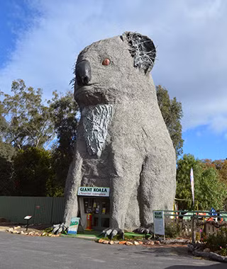 Tòa nhà Giant Koala ở Dadswells Bridge (Australia) có hình dáng một chú koala khổng lồ dễ thương.