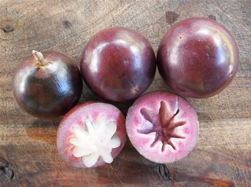 Vú sữa tím có vị ngọt thơm, ít hạt hơn so với vú sữa thường nên được nhiều bà nội trợ ưa chuộng.