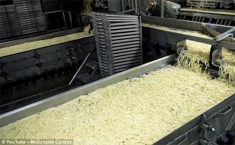 Những thanh khoai tây chiên được cắt lát theo tiêu chuẩn. Quy trình sấy khô khoai tây chỉ mất từ 45 - 60 giây.