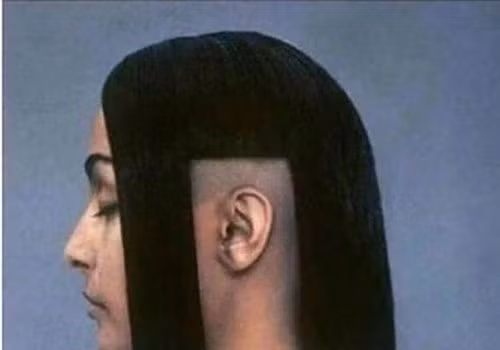 Mái tóc hình… ô cửa.