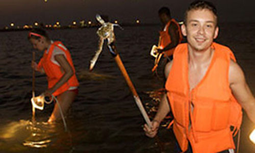 Du khách sẽ có cơ hội cùng nhau soi đèn bắt cua đêm khoảng 1 giờ 45 phút ở rừng ngập mặn Umm Al Quwain.