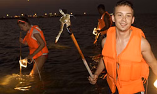 Du khách sẽ có cơ hội cùng nhau soi đèn bắt cua đêm khoảng 1 giờ 45 phút ở rừng ngập mặn Umm Al Quwain.