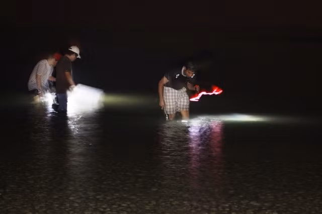 Mọi người được phát một chiếc đèn và cây giáo để săn cua giữa màn đêm.