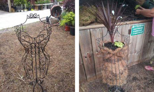 Để có một giỏ hoa đẹp thì việc đầu tiên bạn phải lót một lớp cỏ mùn bên trong chiếc ma nơ canh rồi cho đất vào bên trong.