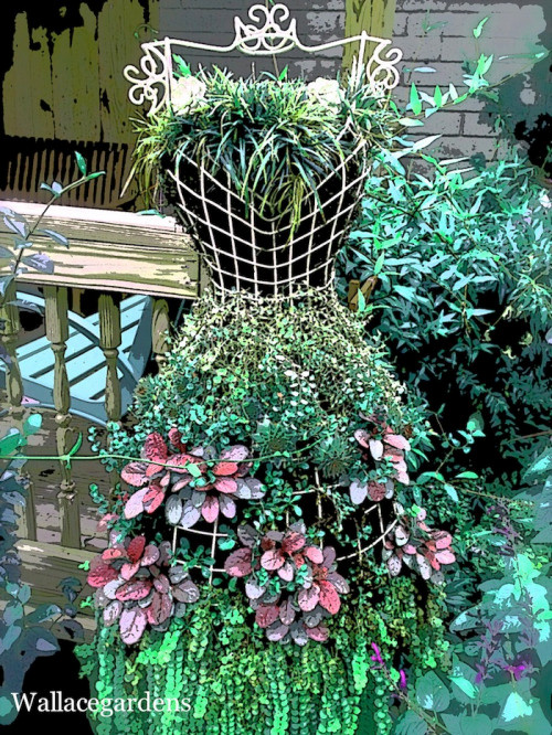 Các loài cây mọc đan xen tạo thành một chiếc váy đáng yêu.