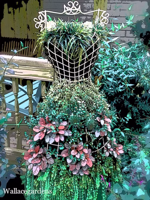 Các loài cây mọc đan xen tạo thành một chiếc váy đáng yêu.