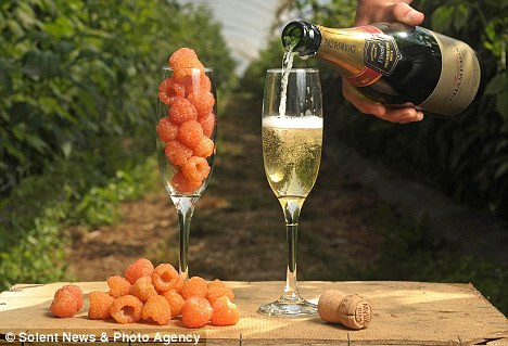 Loại champagne được nấu từ những trái mâm xôi da cam.