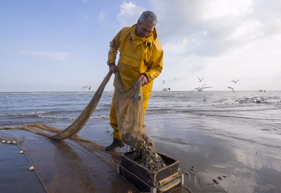 Doc la ngu dan danh bat tom tren lung ngua-Hinh-4
