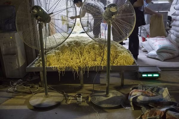 Bên trong nhà xưởng chưa đầy 20m2 chỉ có một bóng đèn sáng, một chiếc máy làm mì chiếm 2/3 diện tích và dưới đất thì la liệt những sợi mì gia công.