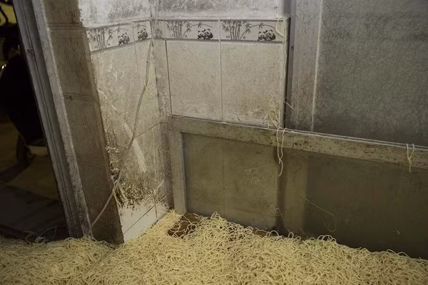 Các phóng viên tờ Netease đã ghi nhận lại một số hình ảnh bất thường tại một nhà xưởng sản xuất mì gia công đối diện với khu công nghiệp tại Nam Sơn (Thâm Quyến, Trung Quốc).