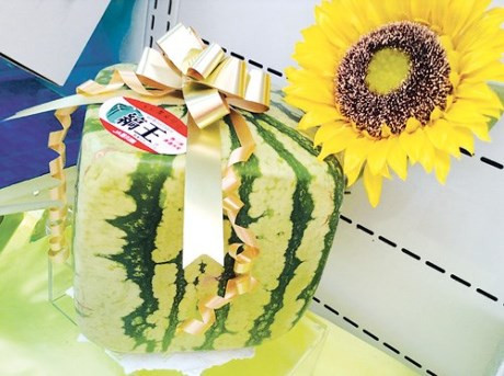 5. Hoa quả cao cấp: Dưa hấu Yubari từ vùng Hokkaido là một loại quả cao cấp, đắt tiền của Nhật Bản. Loại dưa này có thời gian sinh trưởng cực ngắn và chỉ có tại một số khu vực tuyết rơi dày hàng tháng trong khoảng thời gian còn lại trong năm. Dưa Yubari thường có giá khoảng 200 USD. Năm 2008, một đôi quả Yubari King được bán đấu giá và thu về hơn 20.000 USD (hơn 454 triệu đồng).