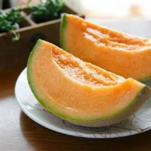 Yabari King được coi như một món quà xa xỉ vào mùa hè. Mỗi trái dưa sẽ được đóng trong những chiếc hộp gỗ có màu vàng giống vỏ dưa, bên trong có lót xốp và vải trắng.