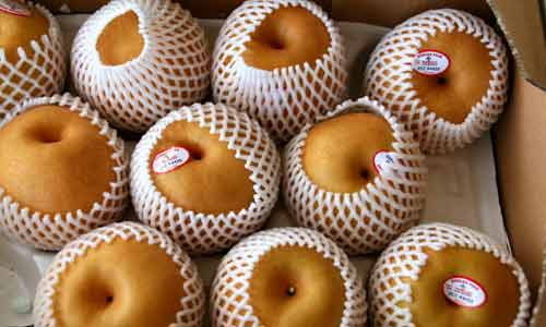 Nhiều người thích lê Hàn Quốc bởi nó có vị ngọt và nhiều nước, có tác dụng giải khát, giải nhiệt tốt.