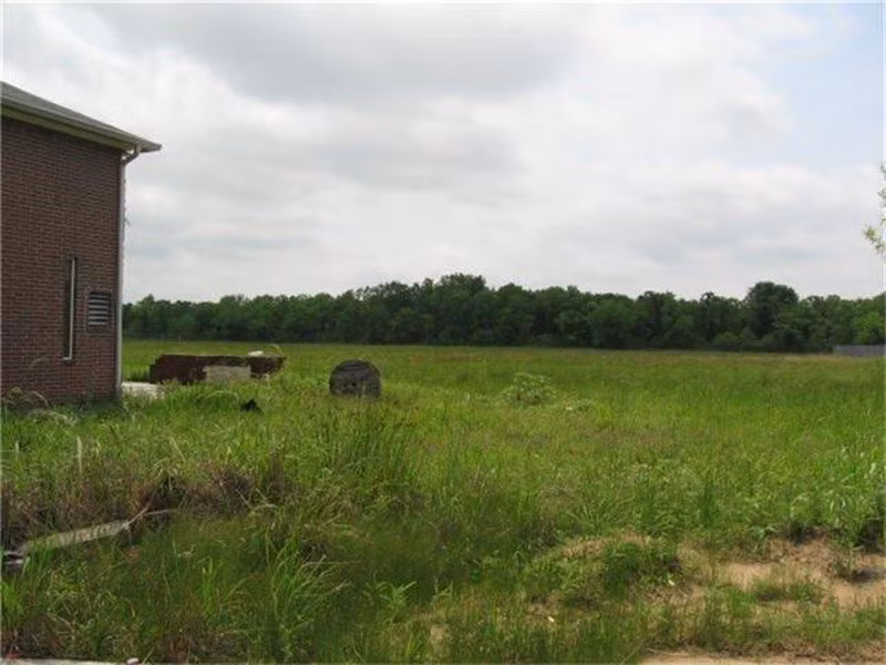 Sau nhiều năm bị bỏ hoang, cỏ xung quanh nhà mọc xanh um.